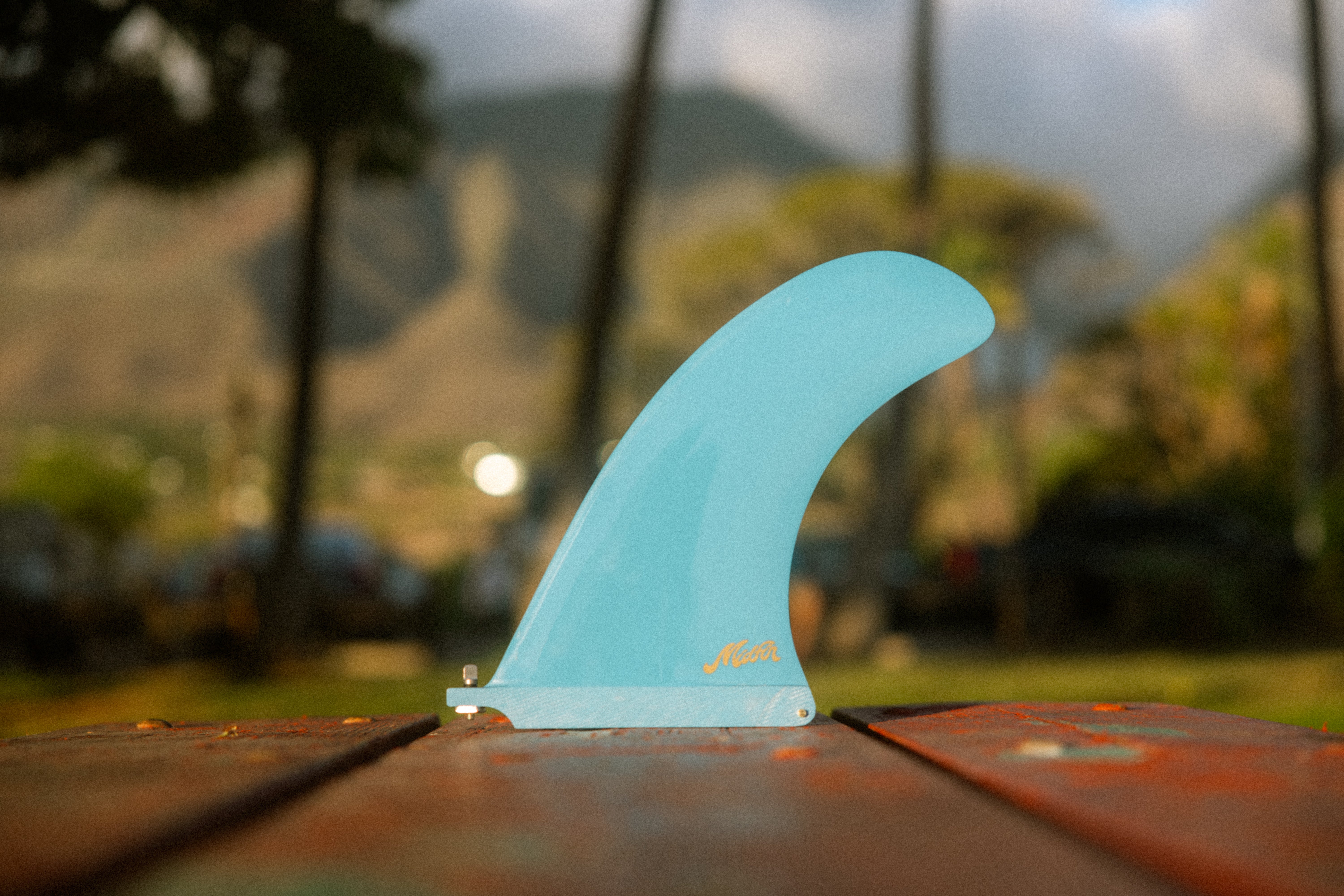 FINS – Mid Fin Co.