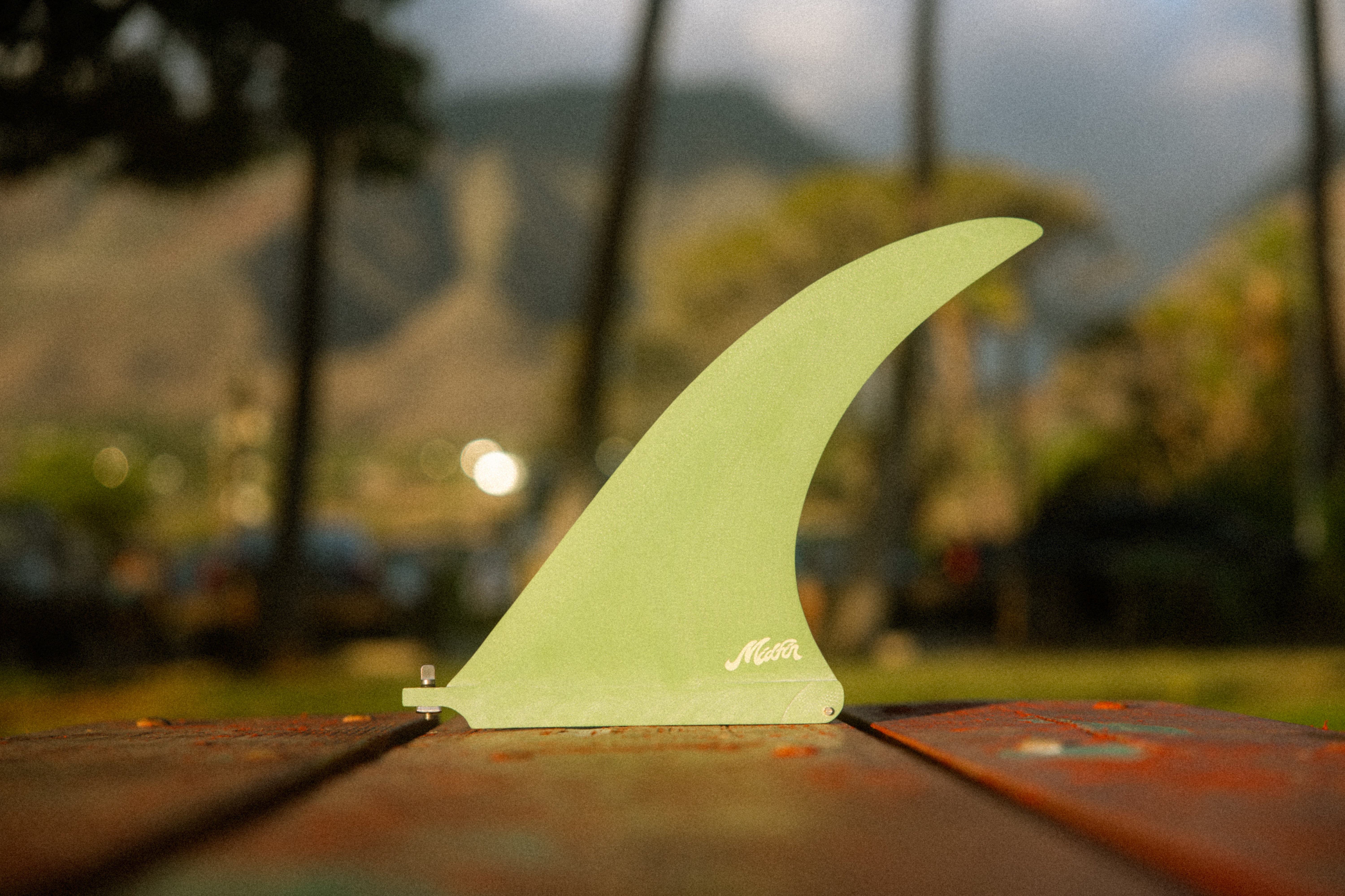 スターフィン Starfin  Maccoy スターフィン Maccoy スターフィン Starfin Maccoy スターフィン