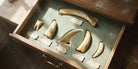 The Scrimshaw fin laid in a felt-lined specimen drawer among scrimshaw whale bone and teeth with handwritten labels